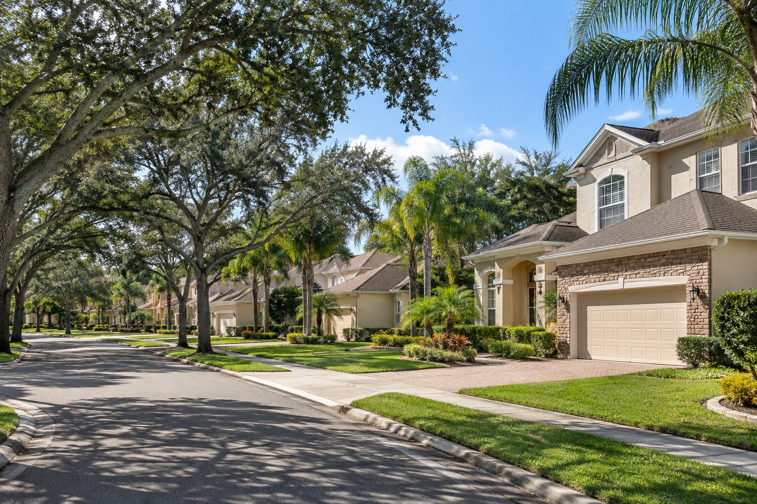 A quiet palm-lined Florida street, illustrative